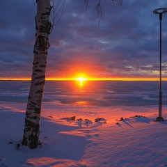 等你走以后 (DJ版)