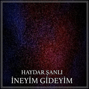 İneyim Gideyim