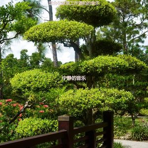 适合在家工作离散的音乐