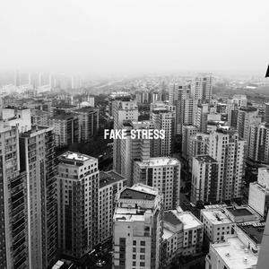 FAKE STRESS