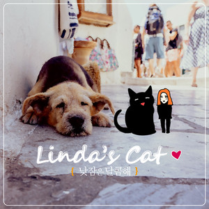 길 잃은 강아지