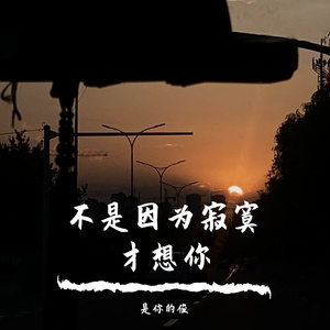 不是因为寂寞才想你—吉他版（cover）：王小帅
