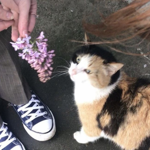 ถึงเธอจะไม่กลับมาแต่ผมก็จะรออยู่ตรงนี้ (Acoustic Version)