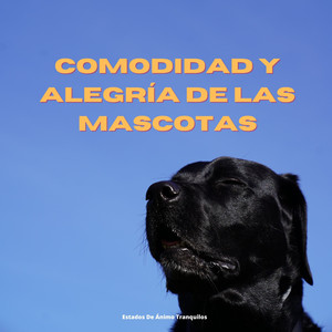 Estado De Ánimo Majestuoso