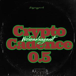 Nightfall in Crypto City w 'P Dog"