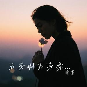 玉芬啊玉芬你让彪哥好伤心 (Remix)