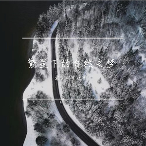 繁星下的自然之梦