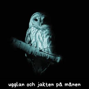 Ugglan och jakten på månen