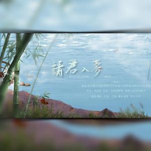 请君入梦