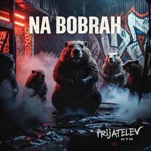 NA BOBRAH