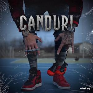 Ganduri