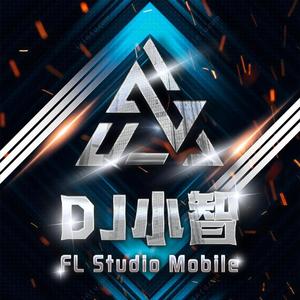 上心（DJ小智 remix）