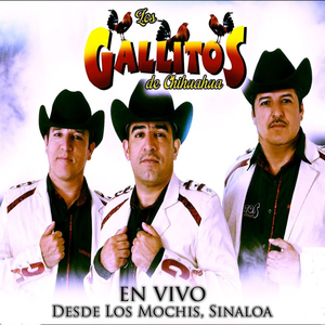 El Corrido del Tacuache