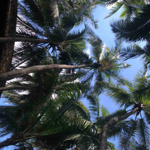 假如（EIectro Mix)