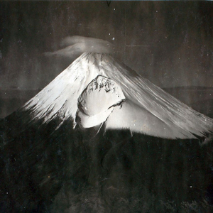 They Usually Come Back Again, But Sometimes They Don't