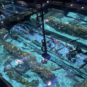 Acuario