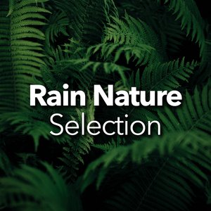 Soundtrack Of A Rainfall Season In Brazil