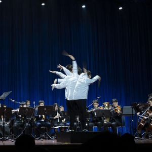 Saint-Saëns：Carnival of the Animals, 1. Introdu...