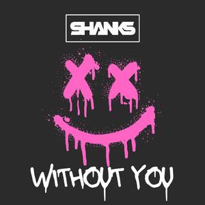 Without you (Radio Edit)