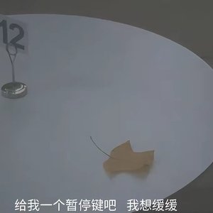 Brave Once, No Regrets Even in Defeat