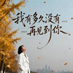 我有多久没有再见到你