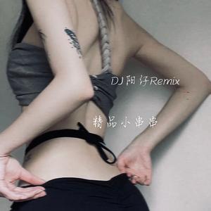 DJ阳仔-DJ阳仔-有钱不入东南亚 落难必闯柬埔寨【2023太空旋律】（DJ阳仔 remix）