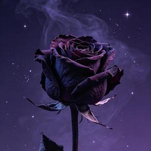 玫瑰枯萎了像我们