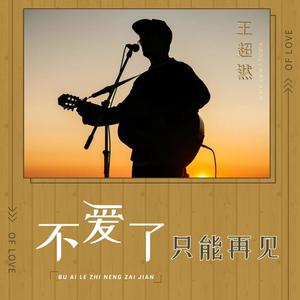 不爱了只能再见