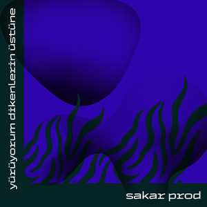 Yürüyorum Dikenlerin Üstüne