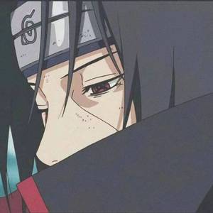 爱如潮水+她+独行侠