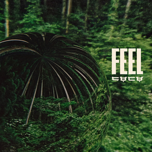 Feel