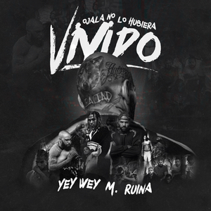 Intro Ojala No Lo Hubiera Vivido