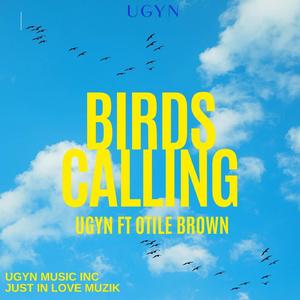 BIRDS CALLING (feat. Otile Brown)