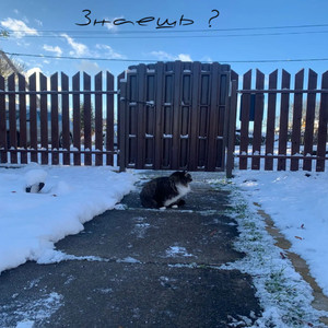 Знаешь?