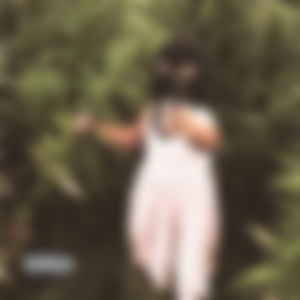 Переводы Кошельки