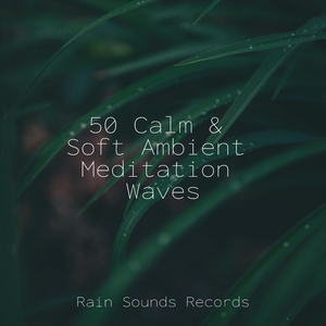 Whispered Secrets of Thunder