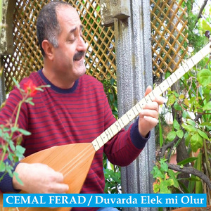 Duvarda Elek mi Olur