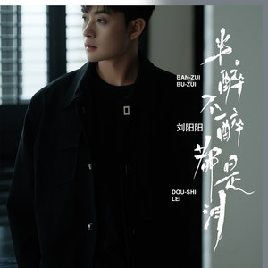 半醉不醉都是泪