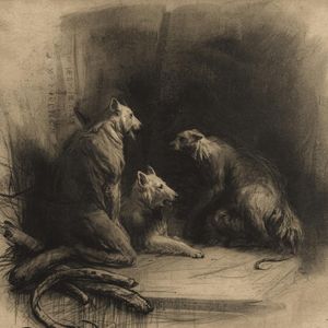 The Hedgehog’s Little Journey