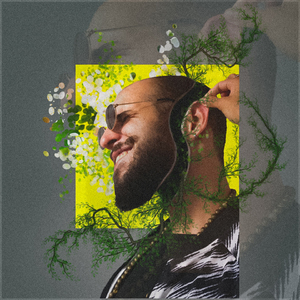 Lírio da Paz (Purificar)