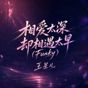 相爱太深却相遇太早(Funky)
