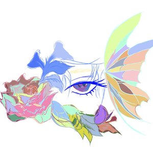 迷蝶夜