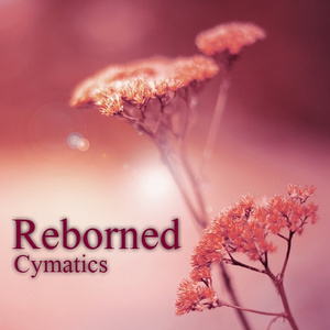 Reborned (ambient mix)