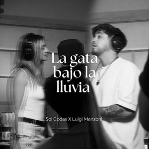 La gata bajo la lluvia