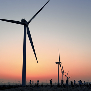 爱与灰度中的丰饶