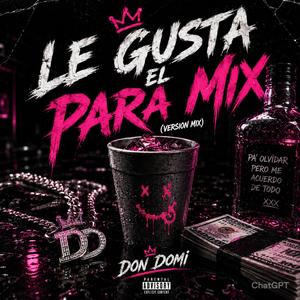 LE GUSTA EL PARTY MIX