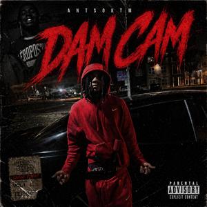 Dam cam