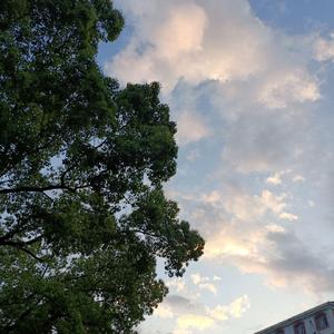 才不怕（Prod by BECU BEATZ）