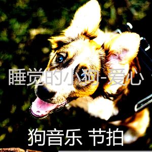 睡觉的小狗-可爱