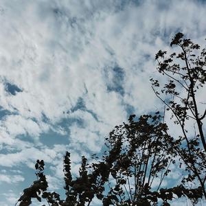 不再难过也不怀念(prod.金桔)